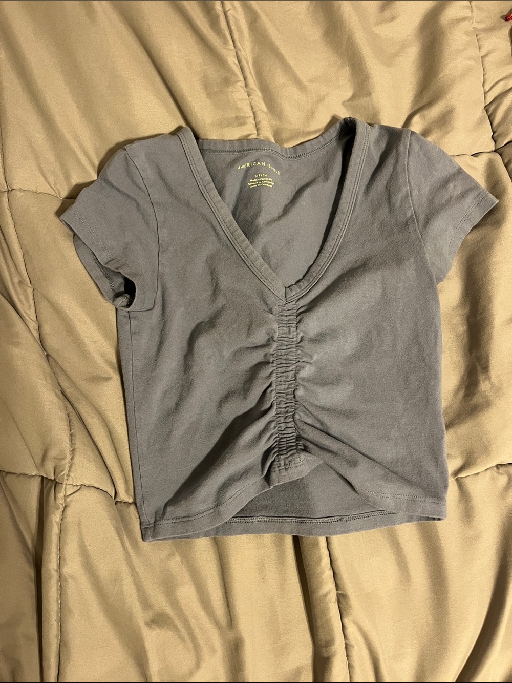 American Eagle Outfitters Gray Ruched V-Neck Crop Tee